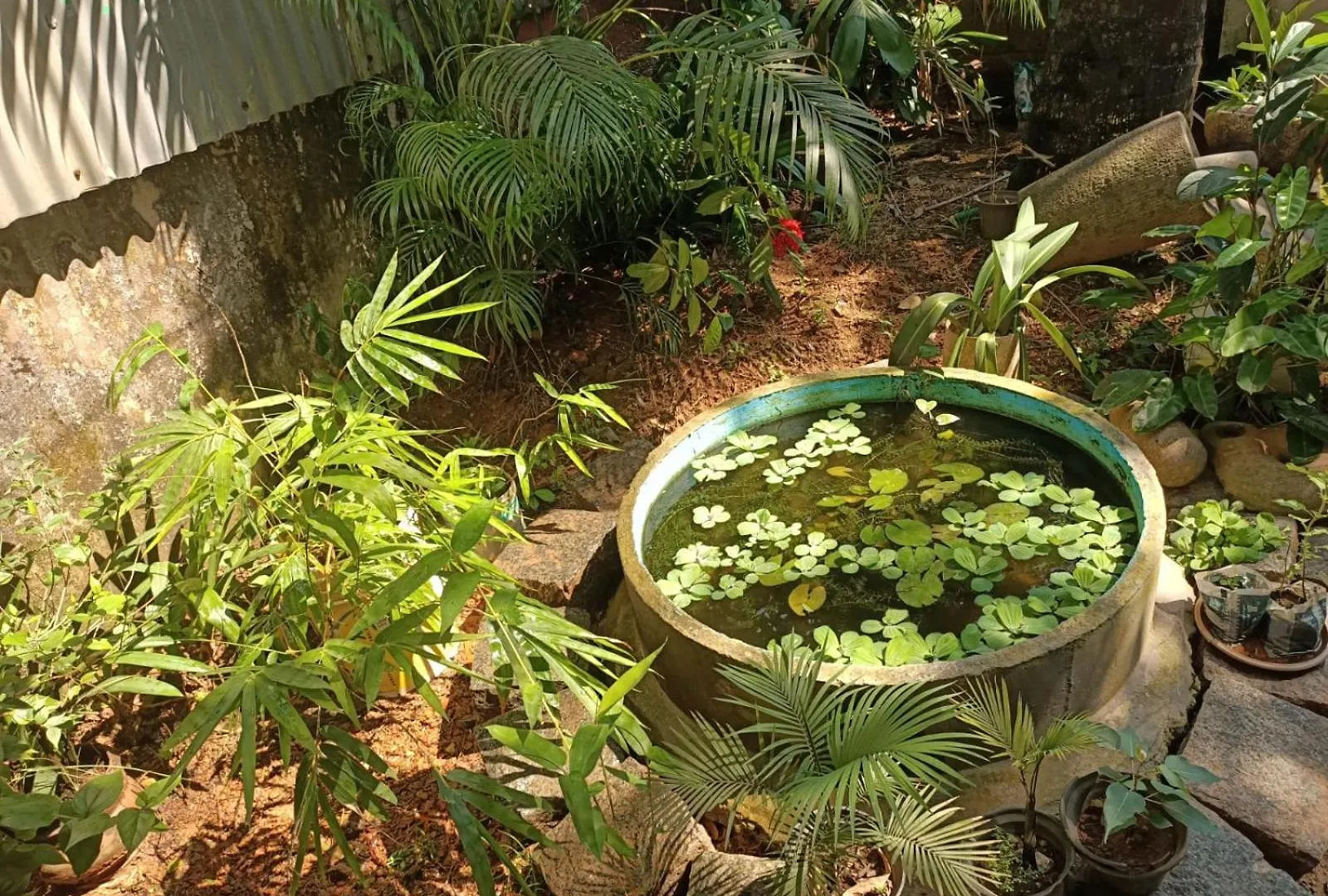 Adams Wood House Ayurveda Homestay Kochi