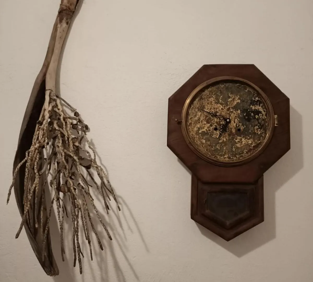 Adams Wood House Ayurveda Homestay Kochi