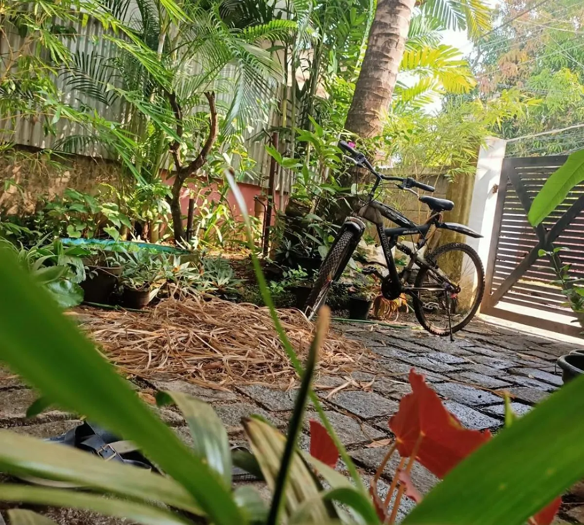 Adams Wood House Ayurveda Homestay Kochi 0*,