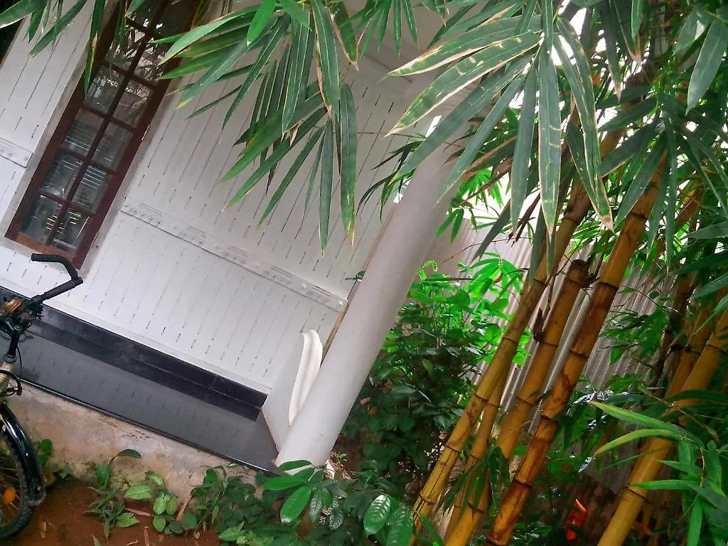 Adams Wood House Ayurveda Homestay Kochi India