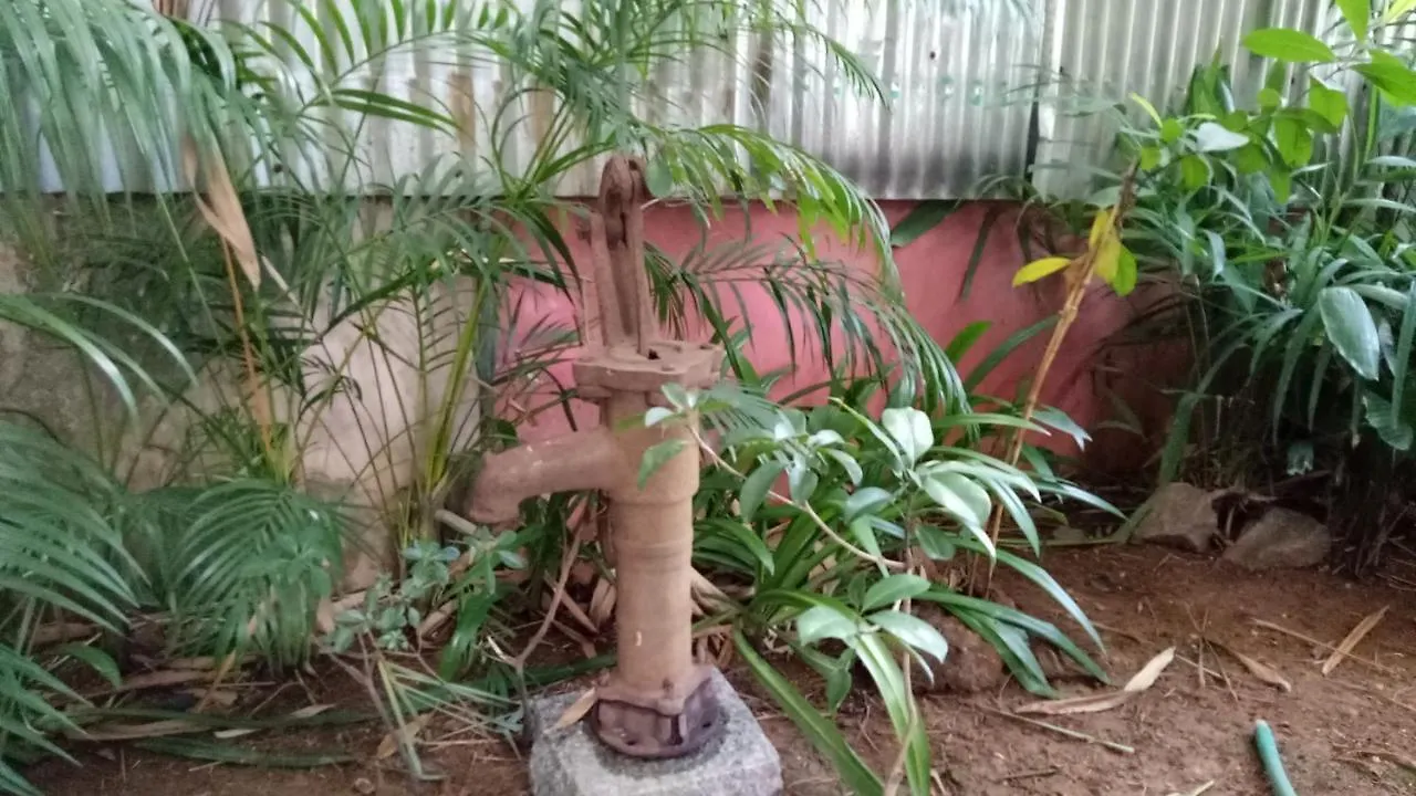 Adams Wood House Ayurveda Homestay Kochi 0*,